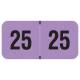 Arden Label FVYM-25-T4 PMA Fluorescent Violet 2025 Year Labels - Size 3/4" H x 1 1/2" W