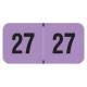 Arden Label FVYM-27-T4 PMA Fluorescent Violet 2027 Year Labels - Size 3/4" H x 1 1/2" W