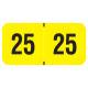 Arden Label FYYM-25-T4 PMA Fluorescent Yello 2025 Year Labels - Size 3/4" H x 1 1/2" W