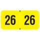 Arden Label FYYM-26-T4 PMA Fluorescent Yello 2026 Year Labels - Size 3/4" H x 1 1/2" W
