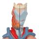 3B Scientific G15 Lung Model with Larynx 7-Part - 3B Smart Anatomy