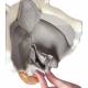 Functional Larynx Model 2.5 Times Full-Size