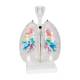 3B Scientific G23-1 Larynx Model with CT Bronchial Tree and Transparent Lungs - 3B Smart Anatomy