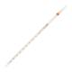 Globe Scientific 8510010 Globe Glass™ Class B Reusable Serological Pipette with 0.1 Graduation - 10 mL, Orange Band