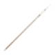Globe Scientific 8510025 Globe Glass™ Class B Reusable Serological Pipette with 0.1 Graduation - 25 mL, White Band