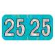 Arden Label HAYM-25-T4 PMA Holographic Aqua 2025 Year Labels - Size 3/4" H x 1 1/2" W