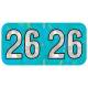 Arden Label HAYM-26-T4 PMA Holographic Aqua 2026 Year Labels - Size 3/4" H x 1 1/2" W