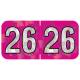 Arden Label HFYM-26-T4 PMA Holographic Fuchsia 2026 Year Labels - Size 3/4" H x 1 1/2" W