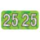 Arden Label HLYM-25-T4 PMA Holographic Lime 2025 Year Labels - Size 3/4" H x 1 1/2" W