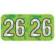 Arden Label HLYM-26-T4 PMA Holographic Lime 2026 Year Labels - Size 3/4" H x 1 1/2" W