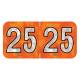 Arden Label HOYM-25-T4 PMA Holographic Orange 2025 Year Labels - Size 3/4" H x 1 1/2" W