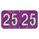 Arden Label HPYM-25-T4 PMA Holographic Purple 2025 Year Labels - Size 3/4" H x 1 1/2" W