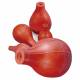 Red Rubber Bulbs for Large Pipets & Syringes