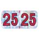 Arden Label HSYM-25-T4 PMA Holographic Silver 2025 Year Labels - Size 3/4" H x 1 1/2" W