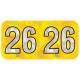 Arden Label HYYM-26-T4 PMA Holographic Yellow 2026 Year Labels - Size 3/4" H x 1 1/2" W