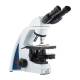 LW Scientific I4S-SEB4-IPL3 i4 Semen Evaluation Microscope, Binocular - Right Facing