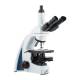 LW Scientific I4S-SET4-IPL3 i4 Semen Evaluation Microscope, Trinocular - Right Facing