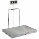 Detecto Solace In-Floor Dialysis Scale with Hand Rail - 48" x 36" Stainless Steel Platform