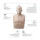 AERO Healthcare IM13-R Brayden Adult CPR Manikin with LED Lights, Infographic