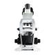 LW Scientific INM-T04A-IPL3 Innovation Biological Microscope, Trinocular with 4 Objectives - Rear View