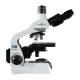 LW Scientific INM-T04A-IPL3 Innovation Biological Microscope, Trinocular with 4 Objectives - Right Side View