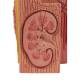3B Scientific K13 MICROanatomy Kidney Model - 3B Smart Anatomy