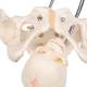 3B Scientific L30 Childbirth Demonstration Pelvis Model with Fetal Skull
