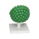 3B Scientific L40 AIDS-Virus Model