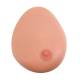 Single Breast Model with Benign Tumor