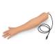 Life/form Blood Pressure Simulator