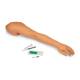 Nasco LF01131 Life/form Venipuncture and Injection Demonstration Arm - Light Skin Tone