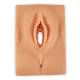 Life/form External Genital Replacement Pad - Light