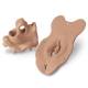 Life/form Sexually Transmitted Diseases (STD) Module