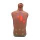 Nasco LF01290 Auscultation Trainer 2.0, Front View