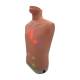 Nasco LF01290 Auscultation Trainer 2.0, Front Left Angle View