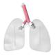 Nasco LF03605 Replacement Lungs for Life/form Airway Larry Airway Management Trainer Manikins