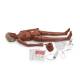 Life/form GERi Complete Nursing Skills Manikin - Medium