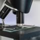 LW Scientific Microscope Cover Glass - Actual Use on Microscope Slide (Slide and Microscope are Sold Separately)