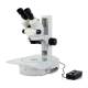LW Scientific Z4 Zoom Stereo Microscope with LED Embryo-GLO Base - With Switch