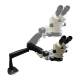 LW Scientific Z4 Zoom Stereo Microscope with Pneumatic Flex Arm - Showing Range of Motion