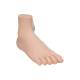 3B Scientific M30 Normal Foot Model - Light Skin Tone