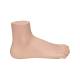 3B Scientific M30 Normal Foot Model - Light Skin Tone
