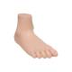3B Scientific M31 Flat Foot (Pes Planus) Model - Light Skin Tone