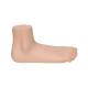 3B Scientific M31 Flat Foot (Pes Planus) Model - Light Skin Tone