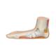 3B Scientific M31 Flat Foot (Pes Planus) Model - Light Skin Tone