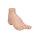 3B Scientific M32 Hollow (Pes Cavus) Foot Model - Light Skin Tone