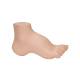 3B Scientific M32 Hollow (Pes Cavus) Foot Model - Light Skin Tone
