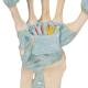 3B Scientific M33 Hand Skeleton Model with Ligaments and Carpal Tunne