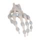 3B Scientific M36 Hand Skeleton with Elastic Ligaments (Left)