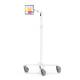 Compulocks MCRSTDEXWUCLGVWMW Premium Medical Rolling Cart with Cling Universal Tablet VESA Mount - Extended Arm (Tablet is Not Included)